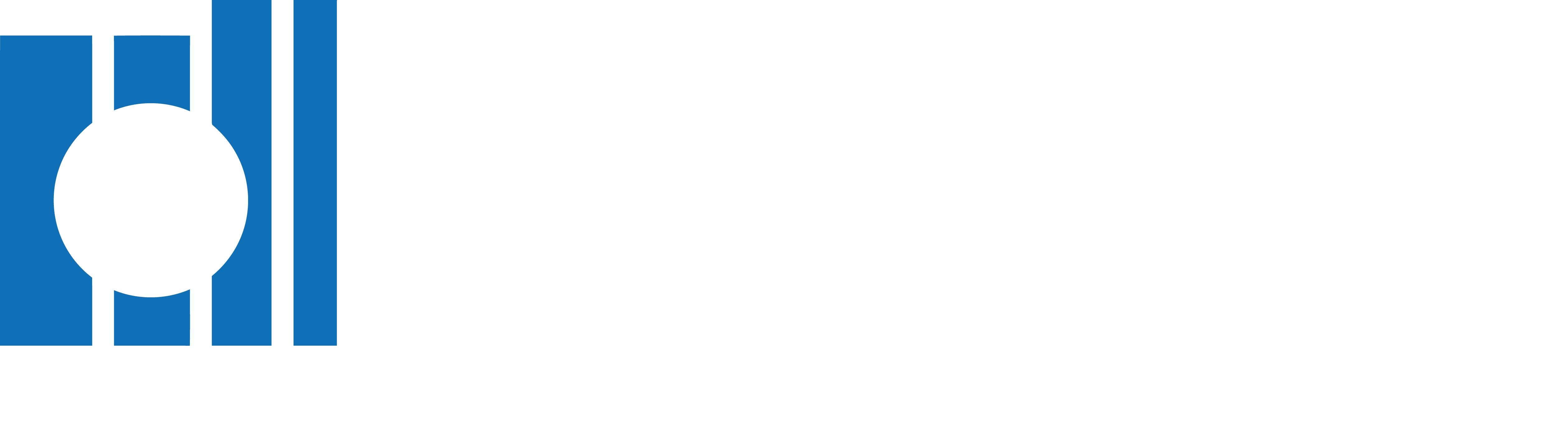 Logo_Innput